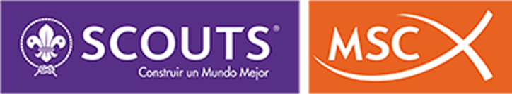 Scouts MSC
