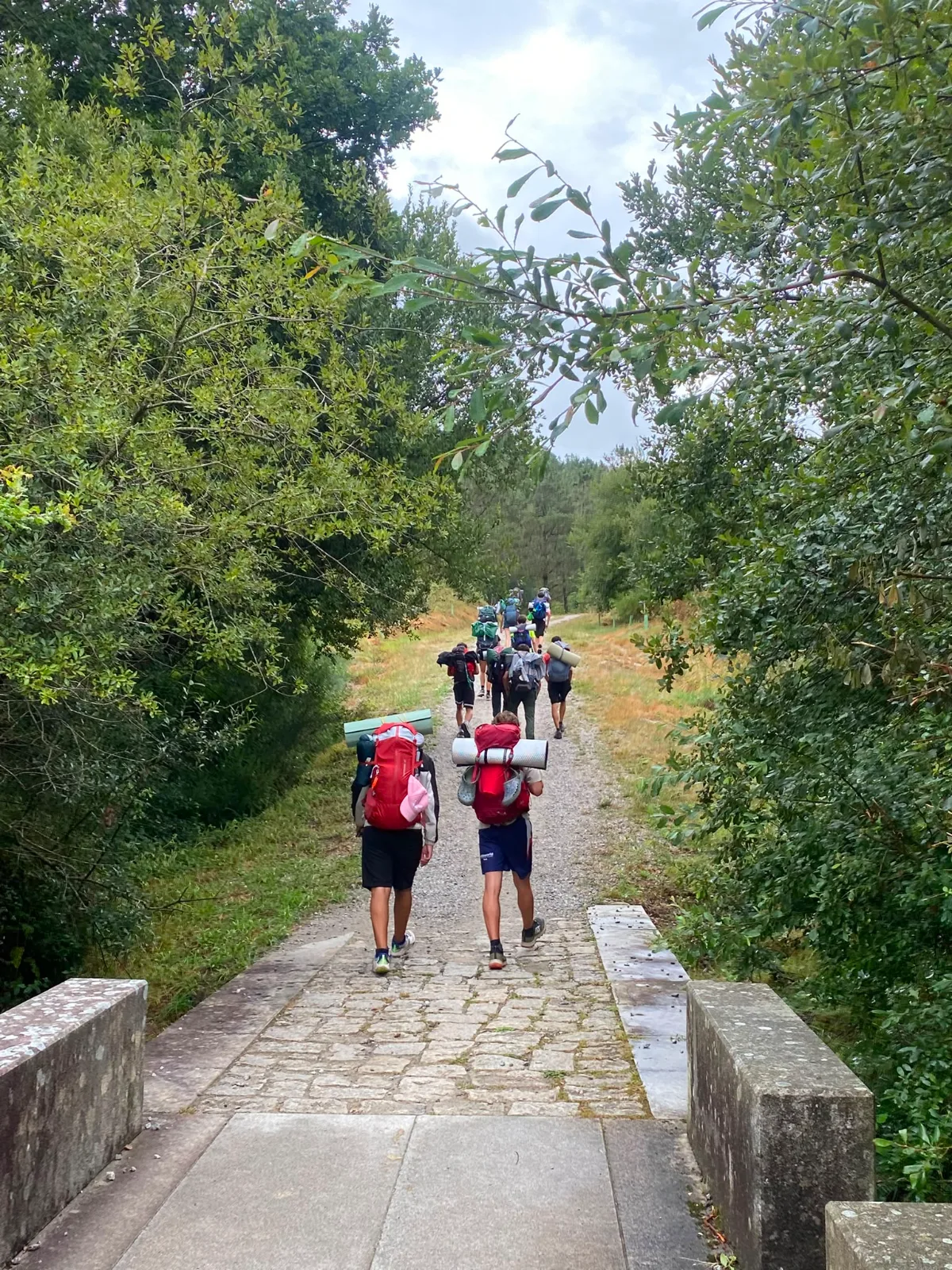 Camino de Santiago